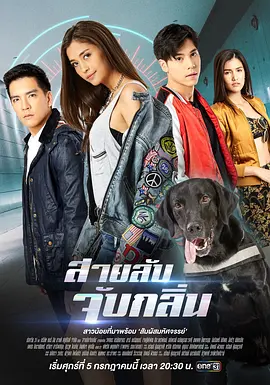 侦探K9普通话版 